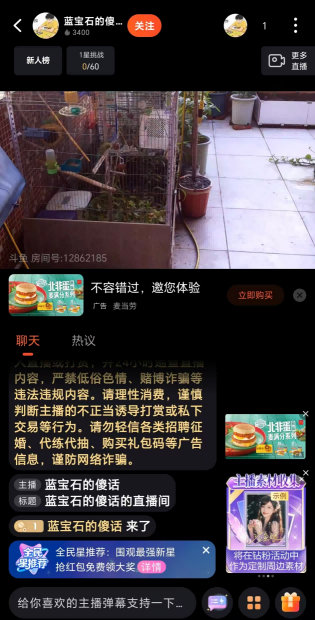 手机端直播间:推流画面已生效